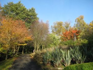 botanic gardens durham autumn