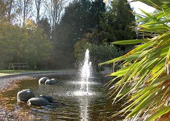 Botanic Garden